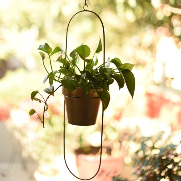 "Capsule" Oval Shaped Hanging Metal Planter in Gold Finish - Picture 2 of 6